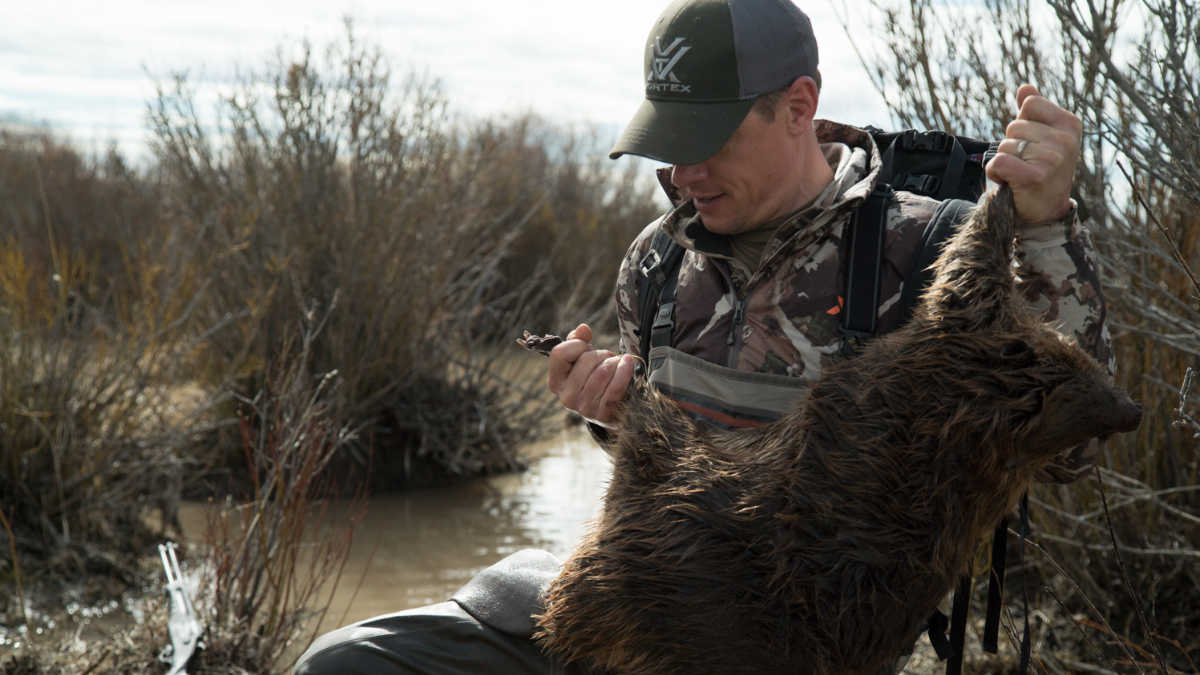 California Bans Fur Trapping, Rinella and Callaghan Respond