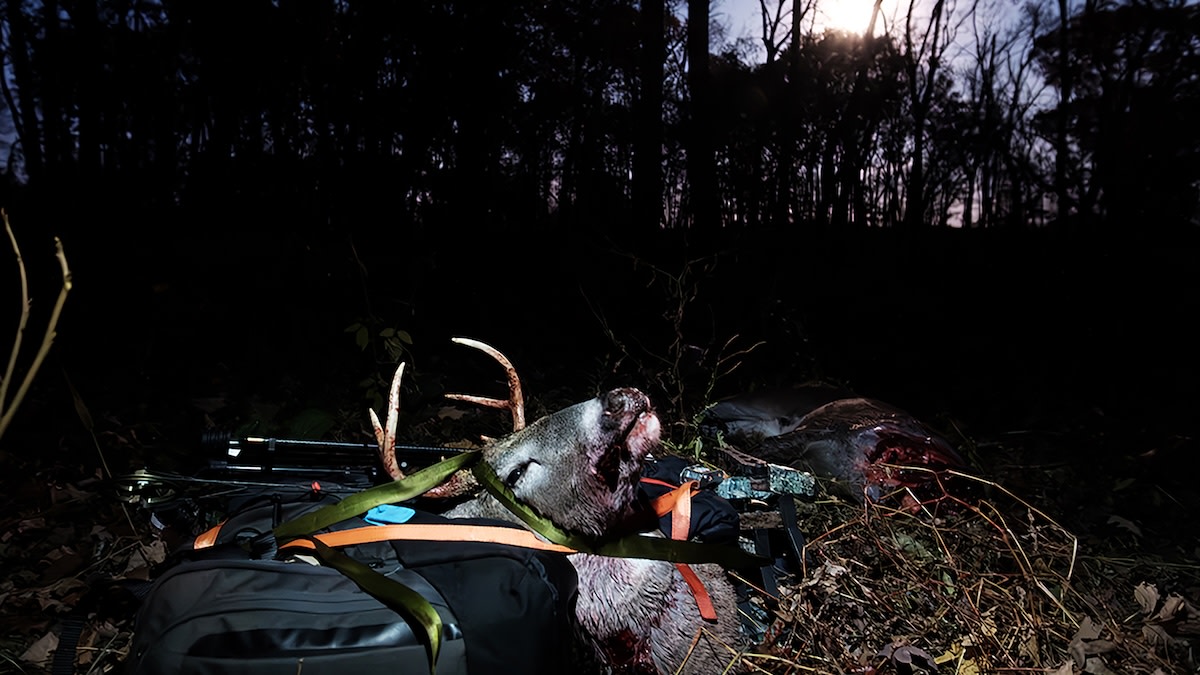 Knife Accident Turns Deer Hunt into All-Night Challenge