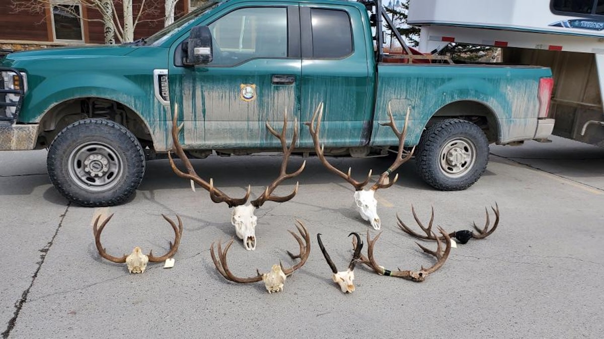 Man Receives Jail Time After Failing to Meet Wyoming’s Residency Requirements