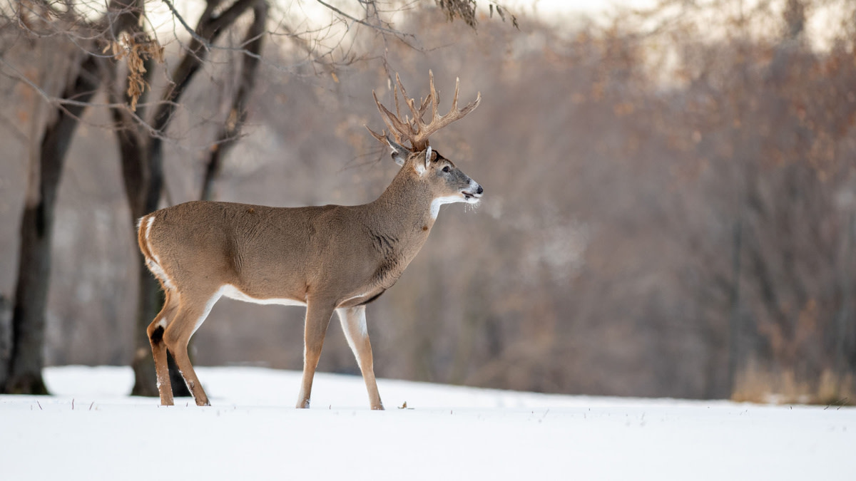 Rut Fresh Report: 12/9/21