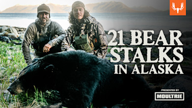CN_AlaskaBear_06.jpg