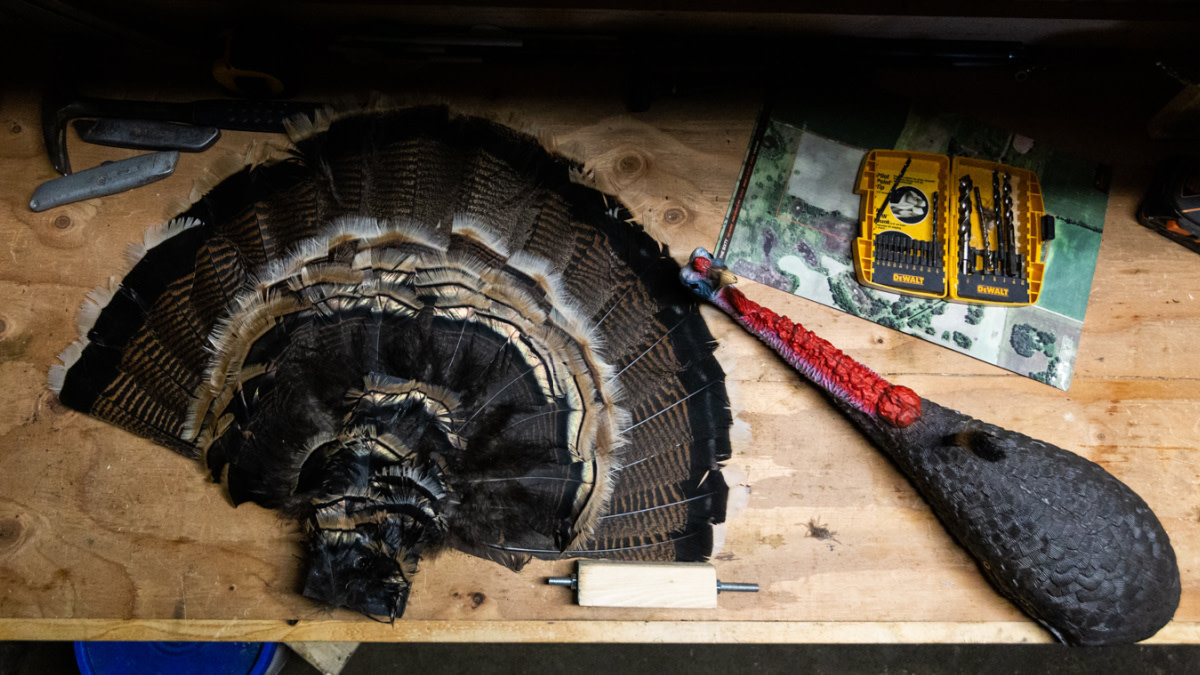 How to Reap a Turkey