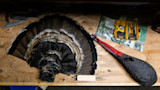 Turkey tail fan and decoy head on wooden workbench; DEWALT drill-bit case and map nearby