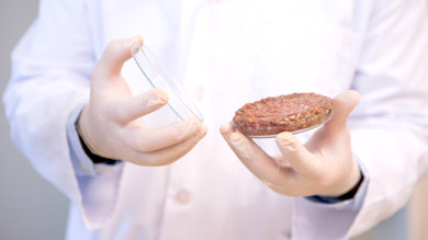 Gloved hands holding a petri dish with a raw lab-grown burger patty