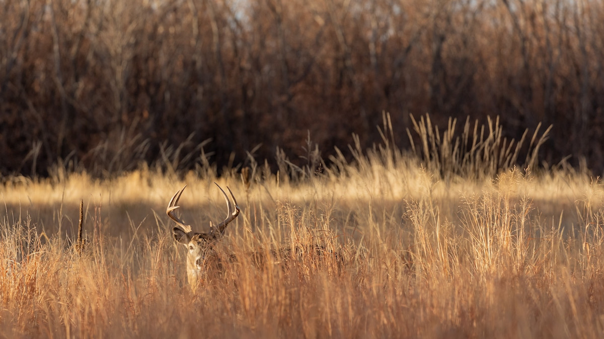 The Fun Buck: How My First Deer Taught Me Hunting Doesn’t Have to Be So Serious