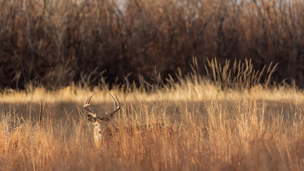 The Fun Buck: How My First Deer Taught Me Hunting Doesn’t Have to Be So Serious