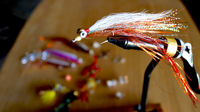 Beadhead streamer fly with white and orange tinsel clamped in a fly-tying vise