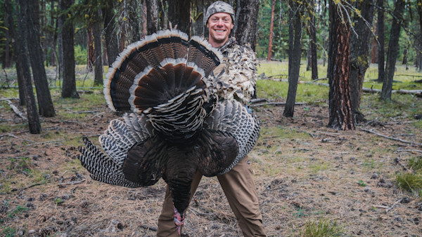 Three Ways You Can Help with Wild Turkey Conservation