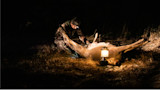 Hunter kneeling with headlamp field-dressing deer at night by lantern