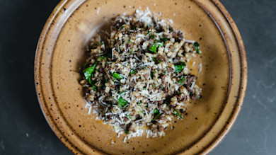 Shredded duck and rice with greens and grated cheese in brown bowl