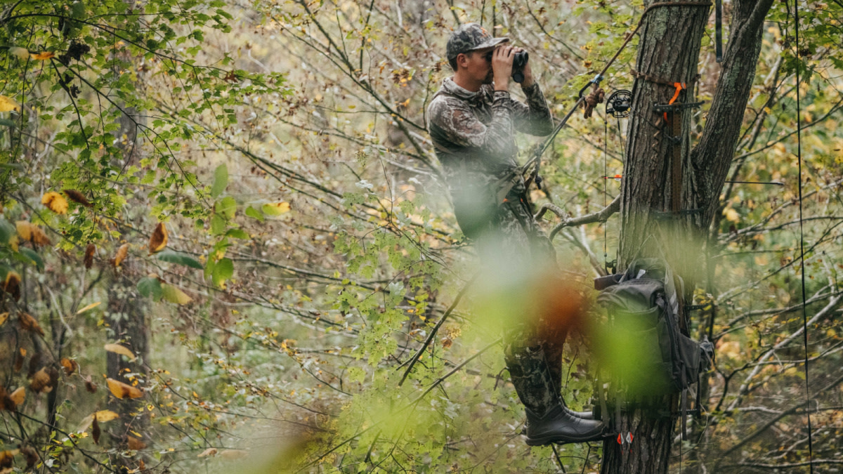 Hunter in camo on tree stand using binoculars; backpack and bow hanging on tree