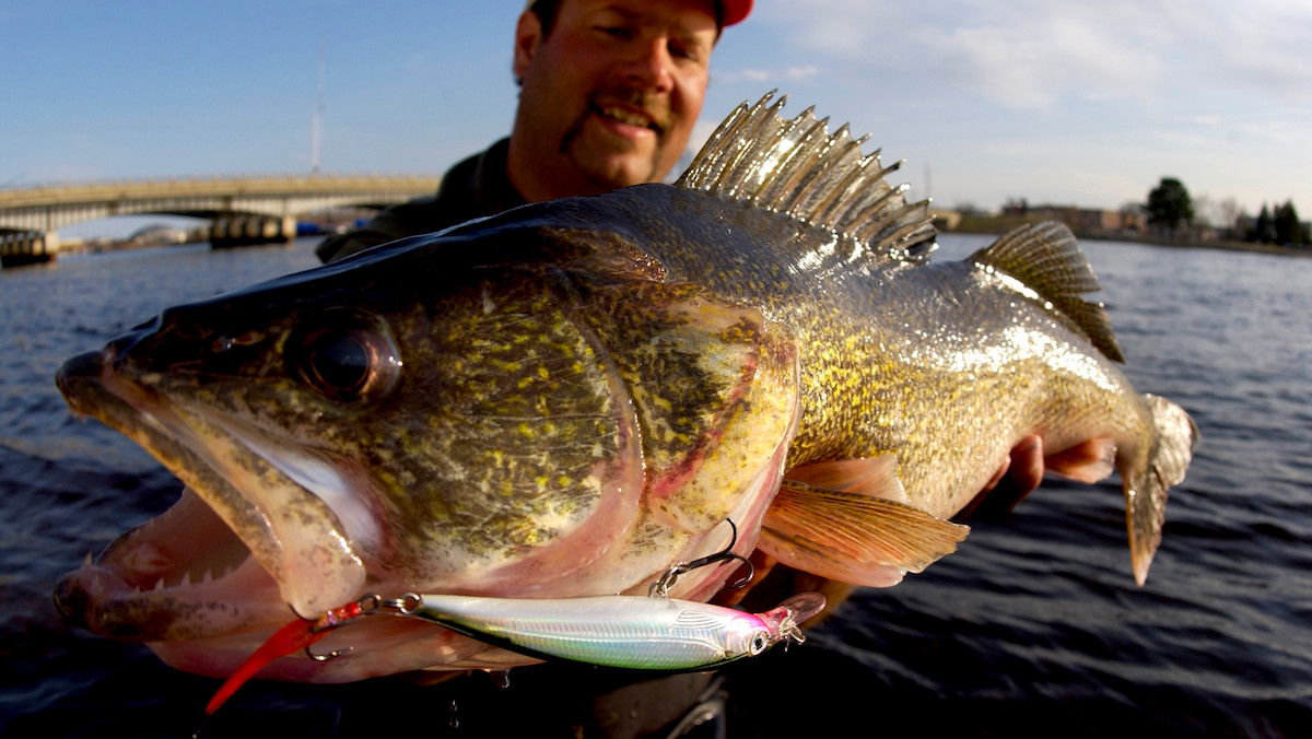 How to Catch Walleye in Spring