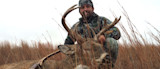 Hunter kneeling behind mule deer buck with large antlers in tall brown grass