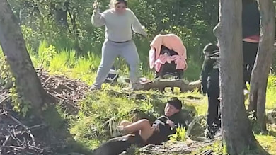 beaver attack.jpg