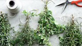 6 Ways to Preserve Herbs
