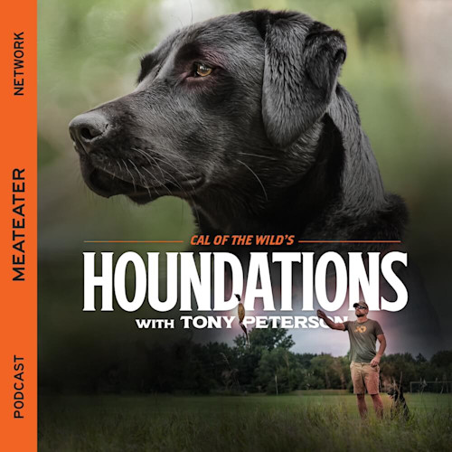 Cal of the Wild's HOUNDATIONS with Tony Peterson — black Labrador profile and man with dog in field