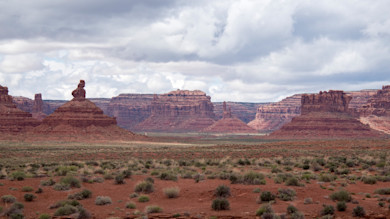 AdobeStock_113082396.jpeg
