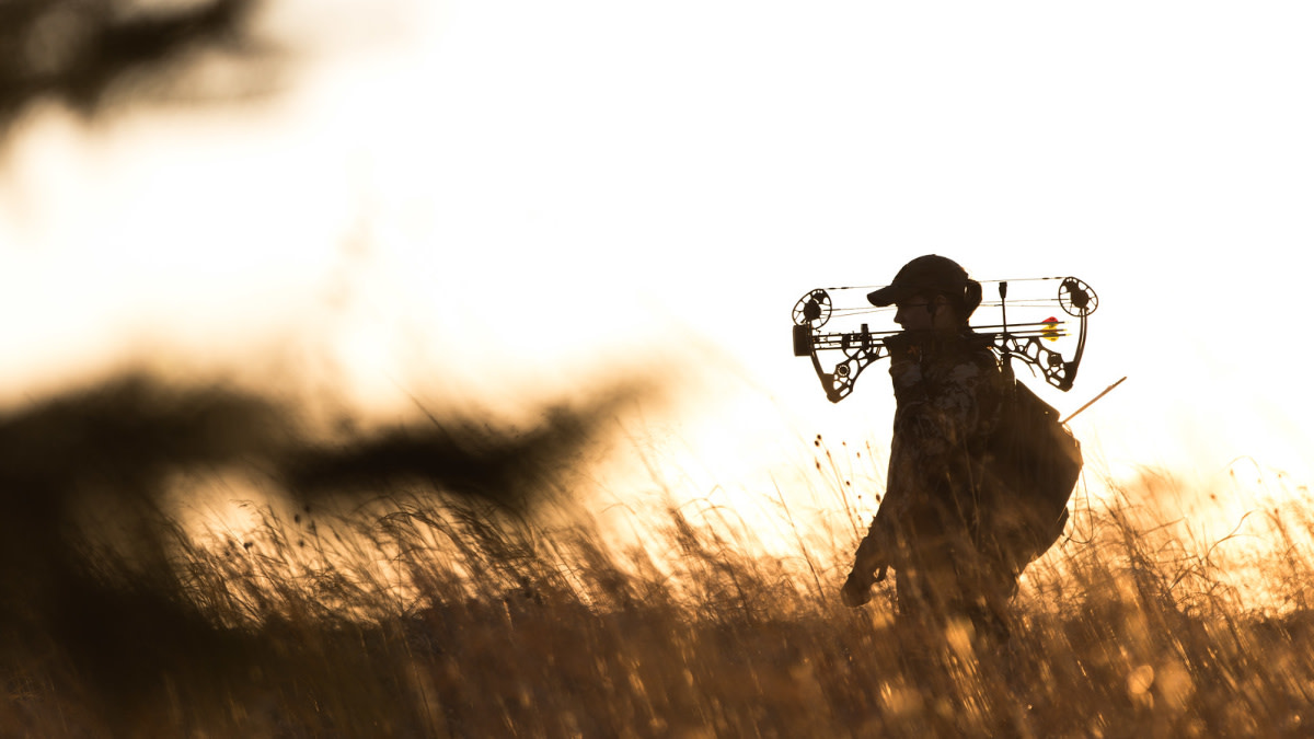 Huntress: A Tangled Term