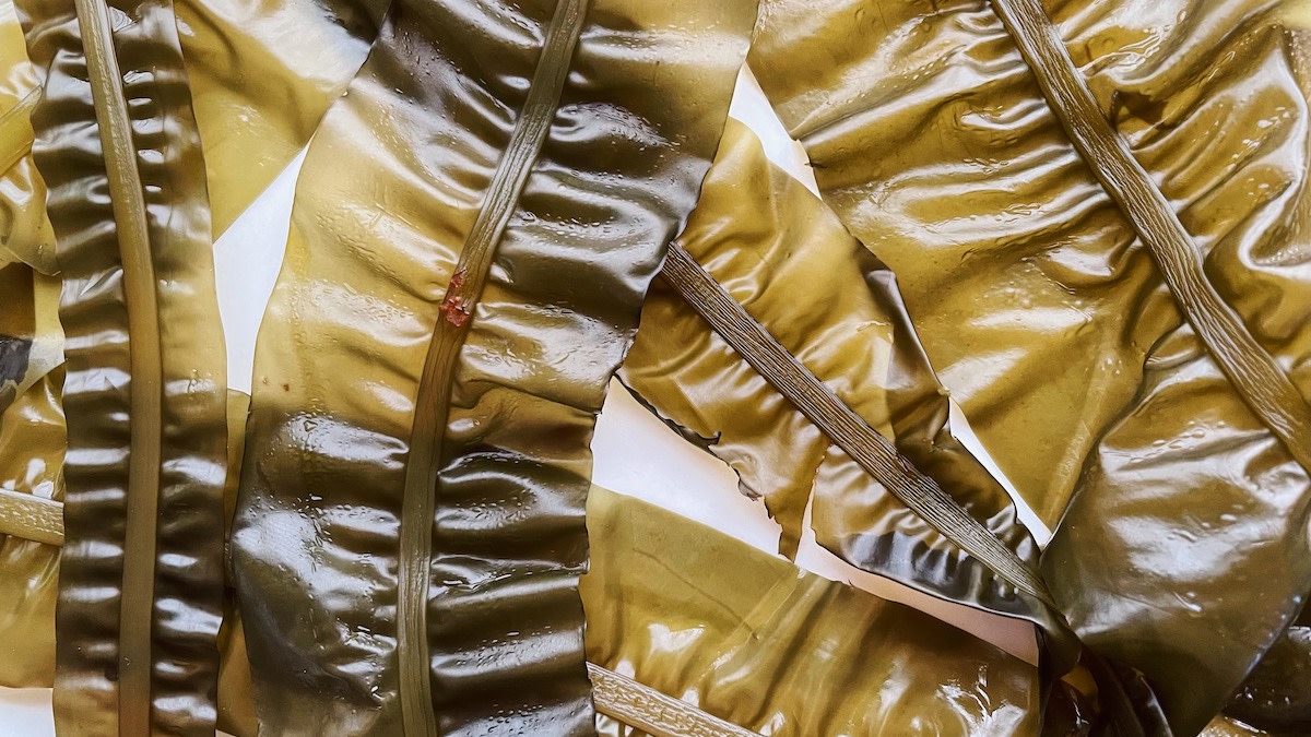 A Beginner's Guide to Foraging and Cooking Seaweed