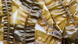 Kelp fronds overlapping, glossy wet brown seaweed on white background