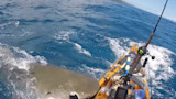 Watch: Angler Narrowly Survives Tiger Shark Attack