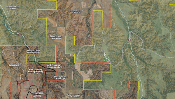 How to E-Scout for Public Land Whitetails