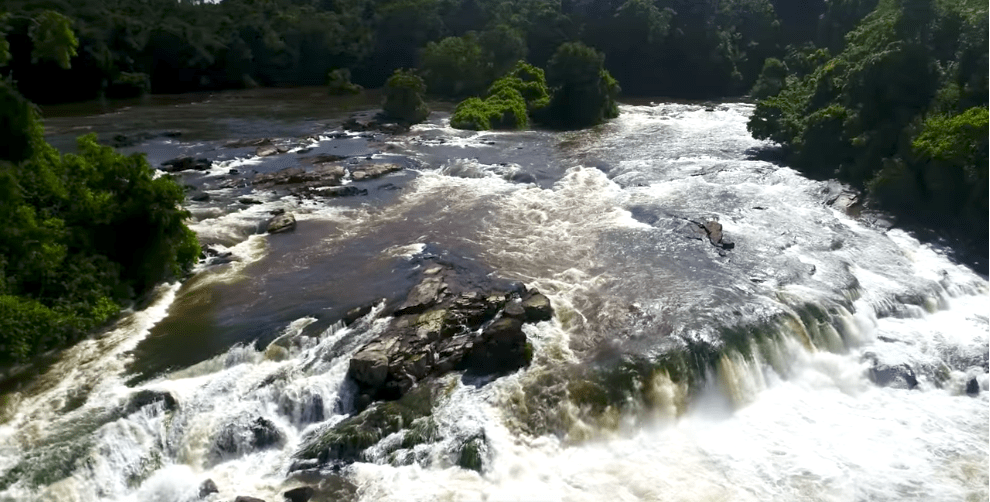 Rushing river rapids cascading over rocky falls with forested banks