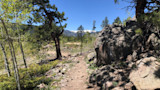 Mountain hiking trail with rocky path, pines and aspens, distant snow-capped peaks
