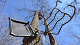 Hunter pulling two treestands up a bare tree, viewed from below
