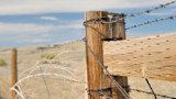 Weathered wooden fence post and rail wrapped with barbed wire on dry prairie under cloudy sky