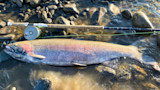Idaho River Produces Two Fishing Records In One Week