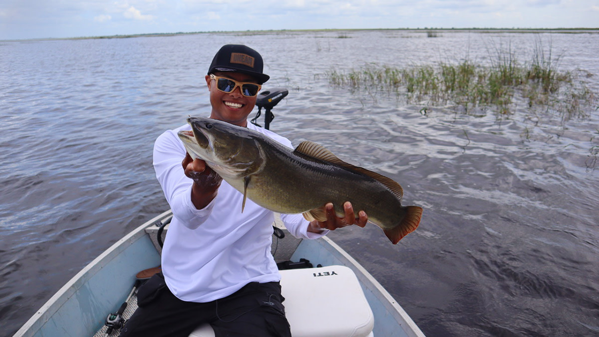 Trash Fish Tuesday: Bowfin