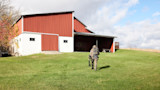 Hunter in full camouflage carrying a compound bow and pack with treestand walking toward red barn