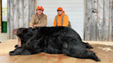 Two hunters wearing orange caps kneel behind a large dead black bear on concrete by a wooden shed