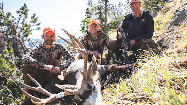 5 Best Mule Deer Cartridges