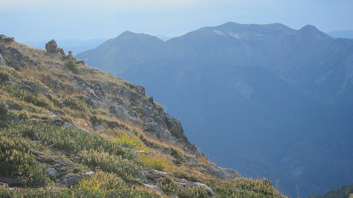 Spot and Stalk Hunting Tactics