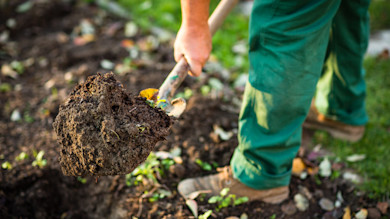 Person digging soil with shovel; clump of earth on blade, green pants and brown boots