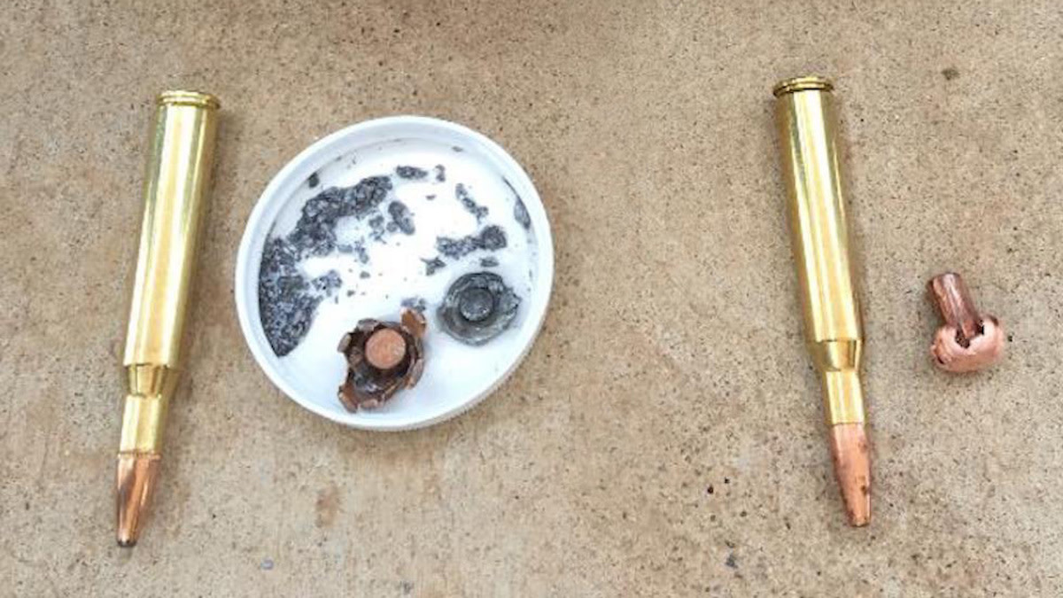 Lead Ammo and Wildlife: Separating Science from Advocacy