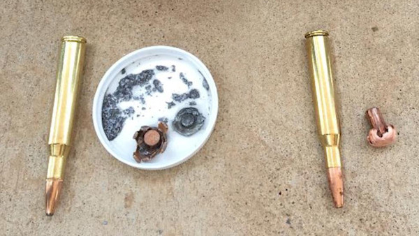 Lead Ammo and Wildlife: Separating Science from Advocacy