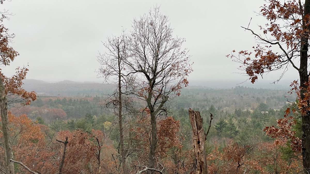 10 Things I Learned On My 10 Day Wisconsin Rut Hunt