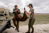 02082024_TX_HOG-1-59.jpg