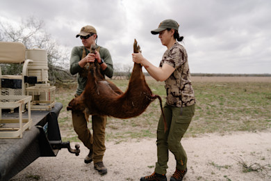 02082024_TX_HOG-1-59.jpg