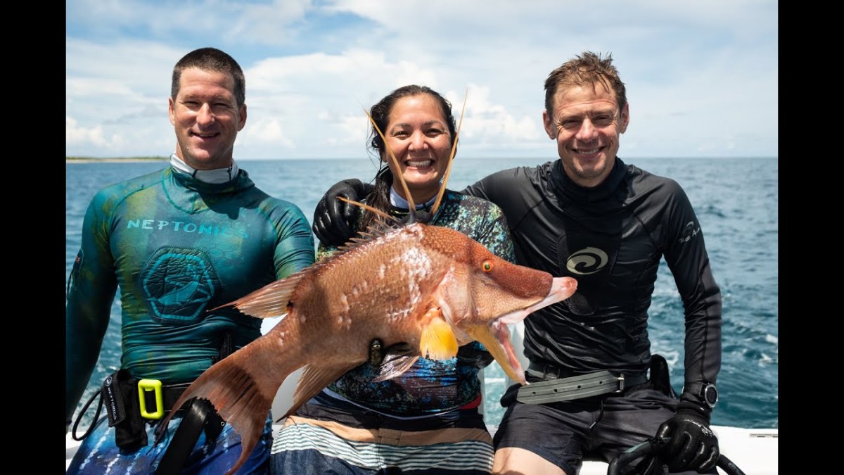 Spearfishing the Bahamas with Steven Rinella