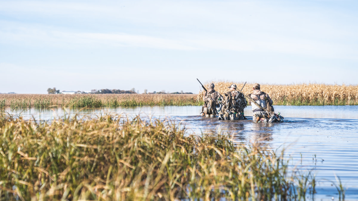 This Bill Could Reverse Historic Wetland Conservation Progress