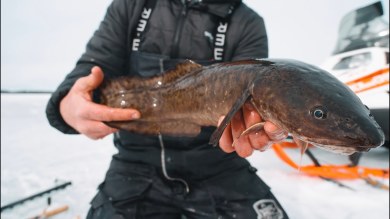 Ice Fishing for Burbot