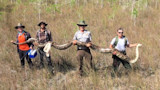 Four people standing in a grassy field holding a large python stretched across them.