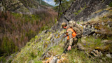 The Best Calibers for Elk Hunting