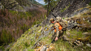 Hunter descending steep rocky slope wearing camouflage and orange vest, rifle on backpack
