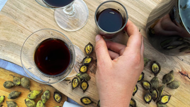 Hand holding small glass of dark walnut liqueur beside two wine glasses and cracked green walnut shells on wood