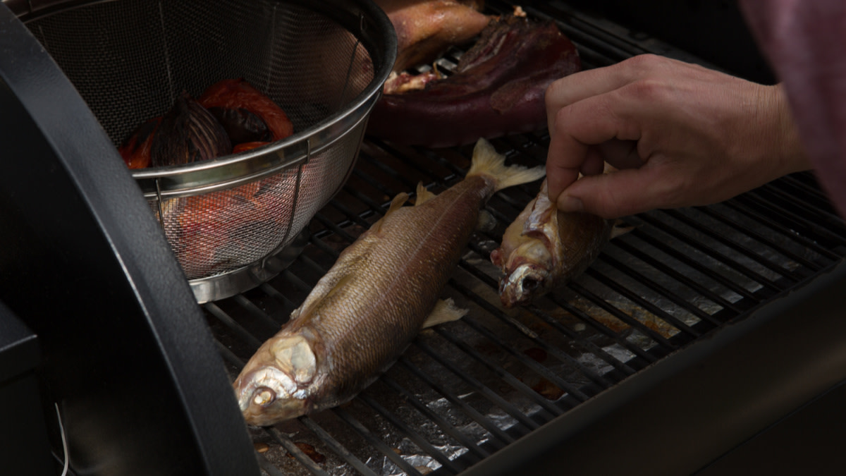 Ask MeatEater: Charcoal, Propane, or Pellet Grill?